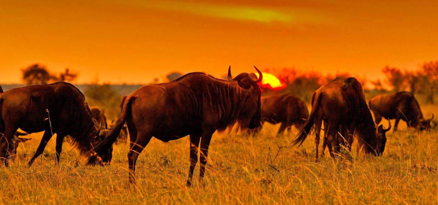 organizacja konferencji